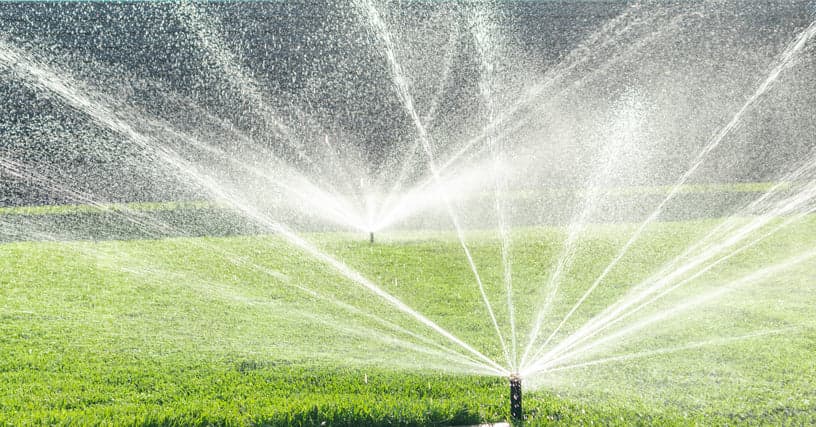Sprinkler heads watering a lawn