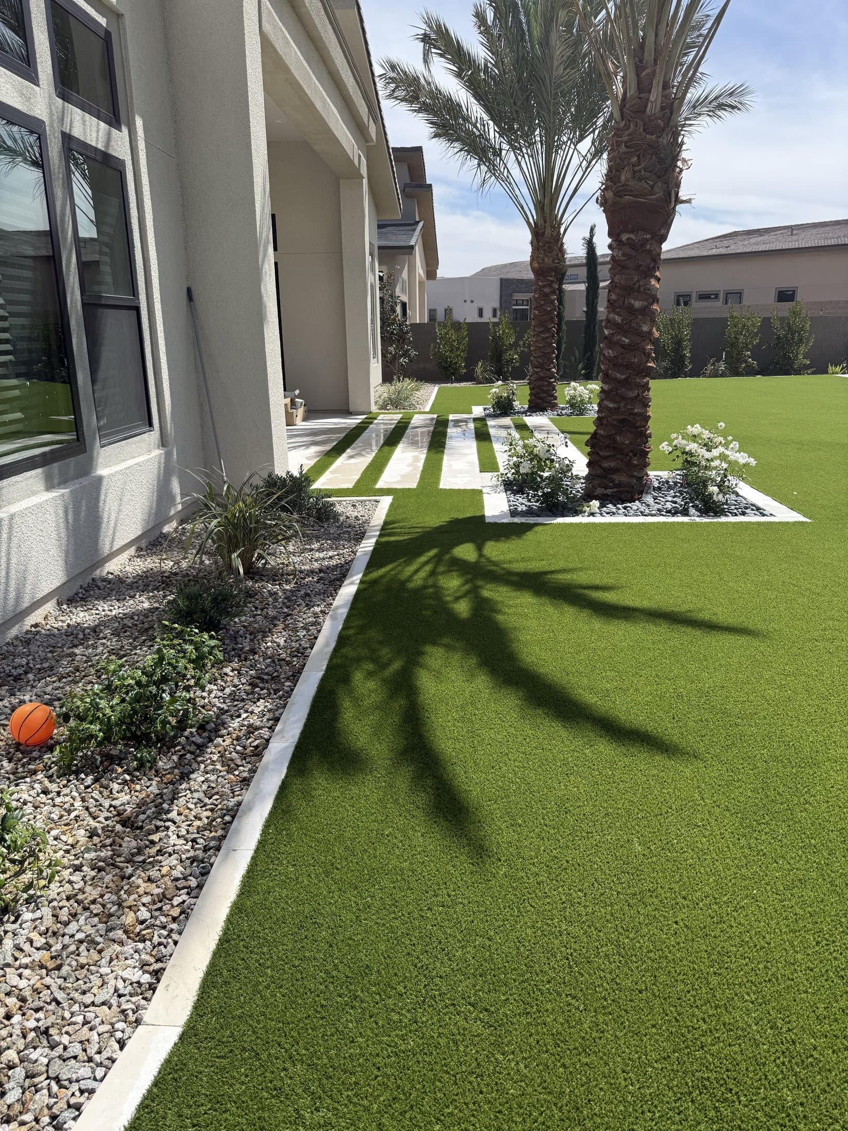 Backyard turf lawn with palm trees and paver walkway, daytime